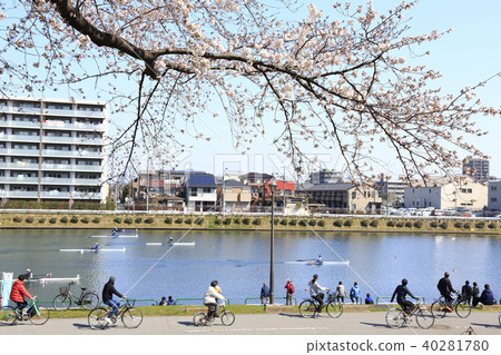 埼玉縣戶田市的風景戶田船道櫻花 埼玉縣戶田市的風景戶田船道櫻花 40281780