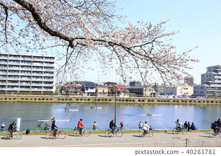 埼玉縣戶田市的風景戶田船道櫻花 埼玉縣戶田市的風景戶田船道櫻花 40281781