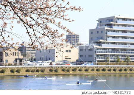 埼玉縣戶田市的風景戶田船道櫻花 埼玉縣戶田市的風景戶田船道櫻花 40281783