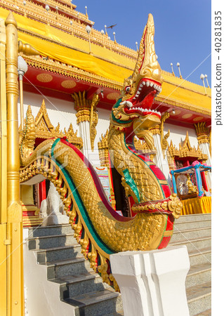 thai dragon thai dragon 40281835