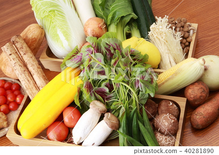 Fresh vegetables 40281890