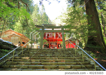Hanazono Shrine Kitaibaraki 40283883