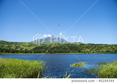 Rishiri Rebun Sarobetsu National Park-Otatomari Swamp 40284344