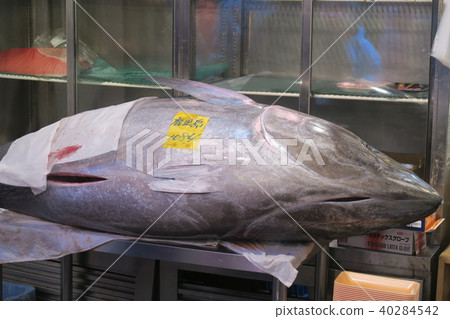 Tuna 40284542