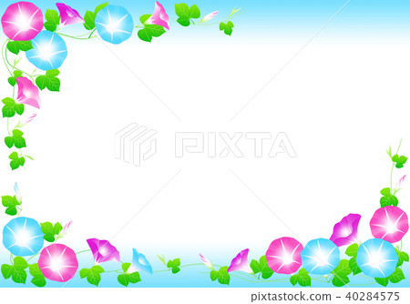 Morning glory sum image Morning glory sum image 40284575