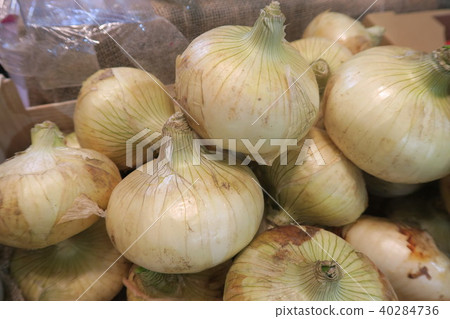 New Onion 40284736
