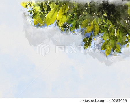 branch tree on colorful watercolor painting branch tree on colorful watercolor painting 40285029