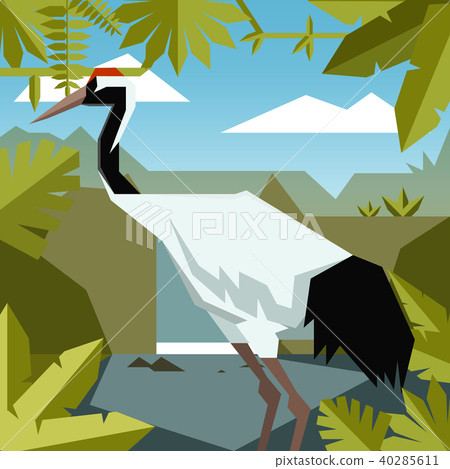 Flat jungle background with Red-crowned Crane 40285611