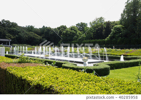 Kamishiro植物園噴泉 Kamishiro植物園噴泉 40285958