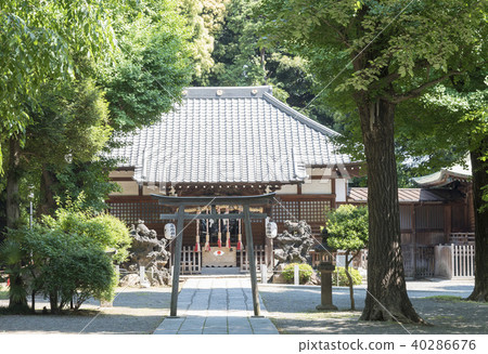 The shrine of Hiratsuka Shrine (Kita-ku, Tokyo) The shrine of Hiratsuka Shrine (Kita-ku, Tokyo) 40286676