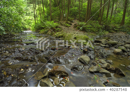 Miura Peninsula Futakoyama, fresh green Moritogawa source basin 40287548