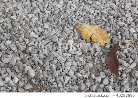 Small pebbles stone and dry leaf for background. 40288696