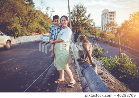 Pregnant smiling with her son near jungle monkey. 40288709