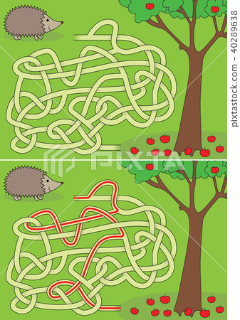 Hedgehog maze Hedgehog maze 40289638