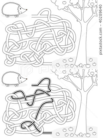 Hedgehog maze 40289640