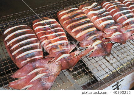 魷魚魷魚 40290235