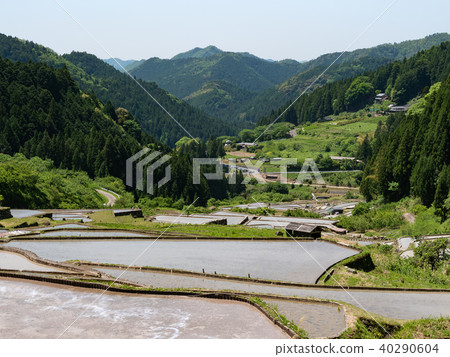 Yotsuya thousanda（愛知縣） 40290604