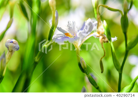 等到薩沙 40290714