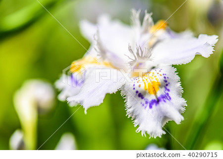 等到薩沙 等到薩沙 40290715