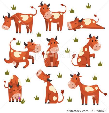 Brown spotted cow set, farm animal character in various poses vector Illustrations on a white Brown spotted cow set, farm animal character in various poses vector Illustrations on a white 40290875