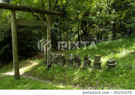 仍然老菩薩的傷痕 40291078