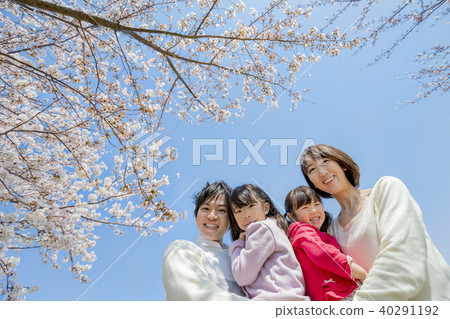 Family of four playing on a cherry blossoming bank 40291192