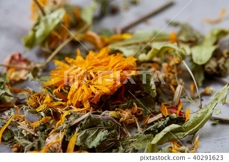 Motley grass on light textured background, close-up, shallow depth of field, selective focus, macro. 40291623