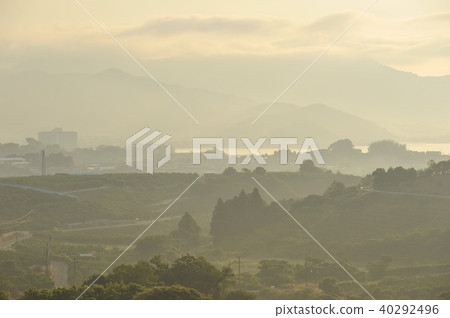 初夏老村 40292496