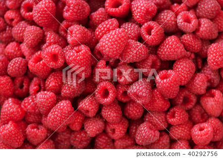 Fresh organic raspberries with mint leaves. Fruit 40292756
