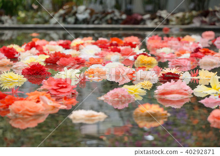 浮花 40292871