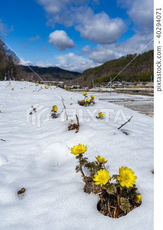 Akageda Fukujuso Community Area Matsumoto City, Nagano Prefecture 40294071