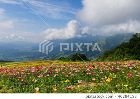 Hakuba Iwatake Yurien / Hakuba-mura, Nagano Prefecture 40294158