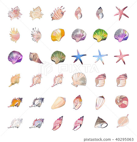 Shellfish set 40295063