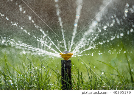 Sprinkler in action watering grass 40295179