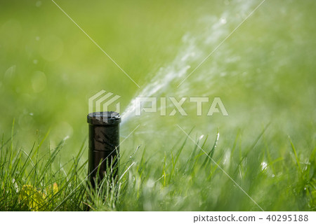 Sprinkler in action watering grass 40295188