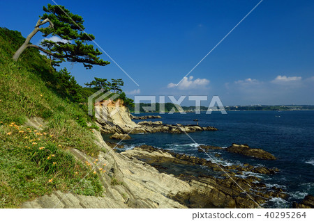 Yokosuka City, Kanagawa Prefecture Arasaki Coast 40295264