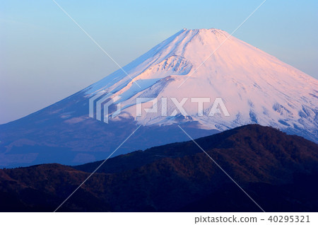 神奈川縣足柄下郡 40295321