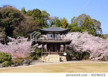 Kyoto Spring Kanshuji Kannon Hall 40296028