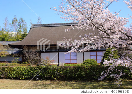 Kyoto Spring Buddhist temple Kyoto Spring Buddhist temple 40296598