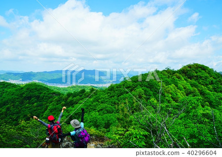 Ashikaga Azalea Mountain 40296604