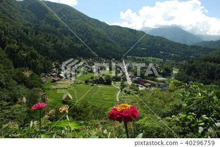 Summer Shirakawa Town 40296759
