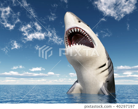 Great white shark 40297197