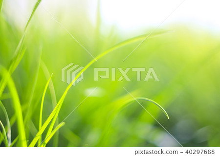 Abstract natural backgrounds with beauty bokeh Abstract natural backgrounds with beauty bokeh 40297688