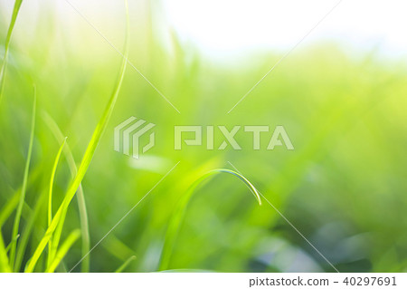 Abstract natural backgrounds with beauty bokeh Abstract natural backgrounds with beauty bokeh 40297691