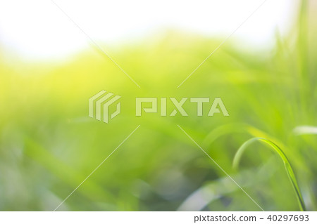 Abstract natural backgrounds with beauty bokeh. 40297693