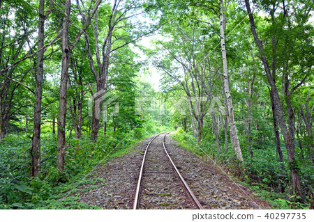 Torokko Kingdom Mist Torokko Kingdom Mist 40297735