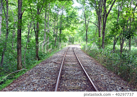 Torokko Kingdom Mist Torokko Kingdom Mist 40297737