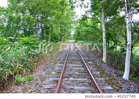 Torokko Kingdom Mist Torokko Kingdom Mist 40297740