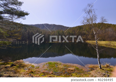 Shark pond Chino, Nagano Prefecture 40298495