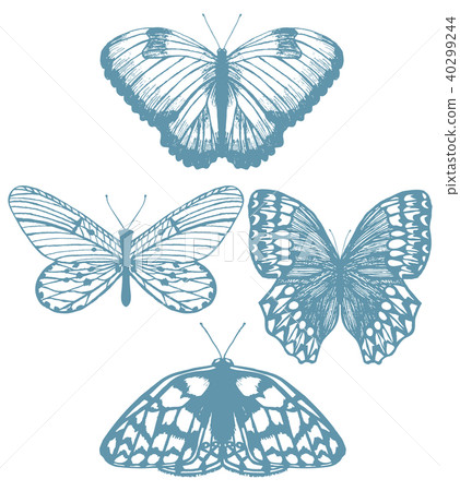 Set of Butterflies in Hand-Drawn Style Set of Butterflies in Hand-Drawn Style 40299244